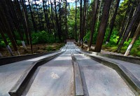 /album/galeria/picsart-08-07-02-58-49-jpg/